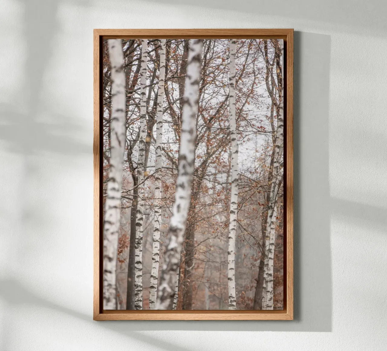 Birch Trees 6 tela con Cornice a cassetta da Mareike Böhmer Photography