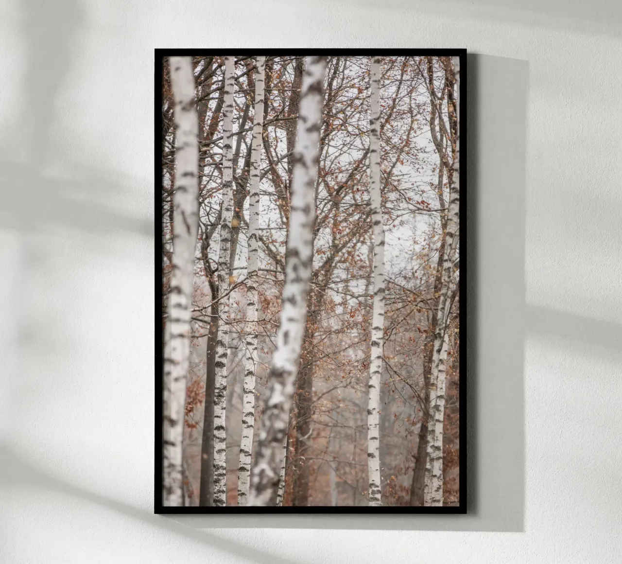 Birch Trees 6 poster da Mareike Böhmer Photography