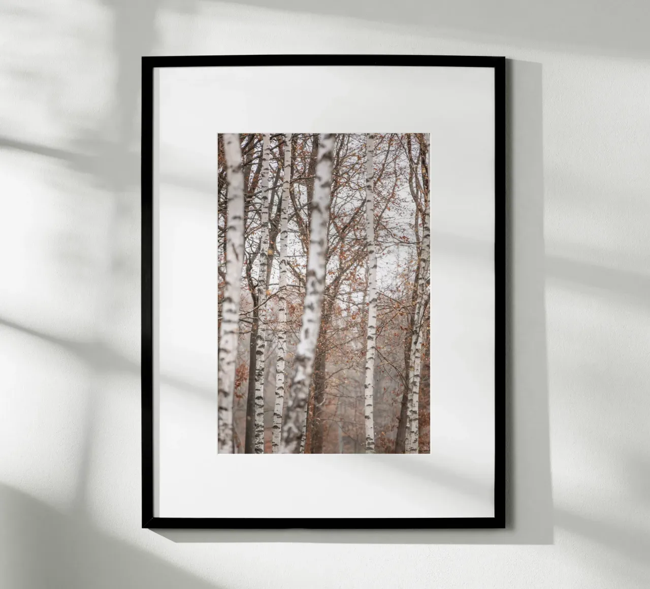 Birch Trees 6 poster da Mareike Böhmer Photography