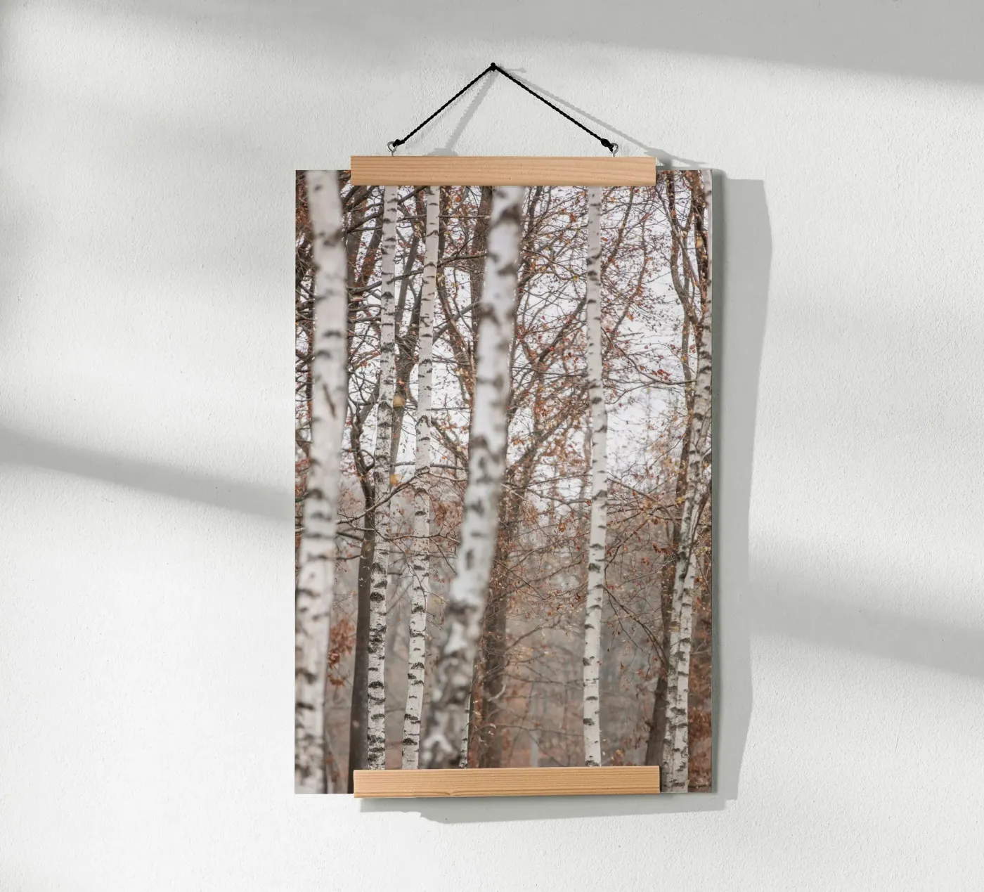 Birch Trees 6 poster da Mareike Böhmer Photography