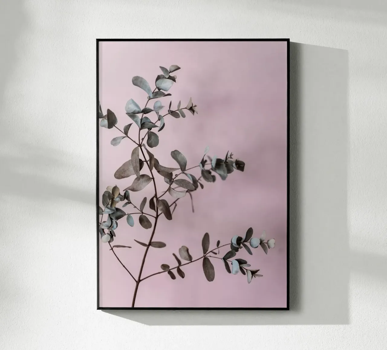 Eucalyptus 12 plexiglass da Mareike Böhmer Photography