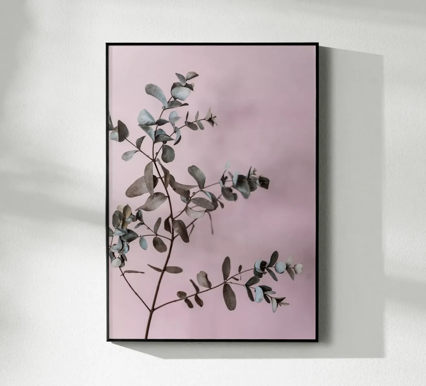 Eucalyptus 12 plexiglass da Mareike Böhmer Photography