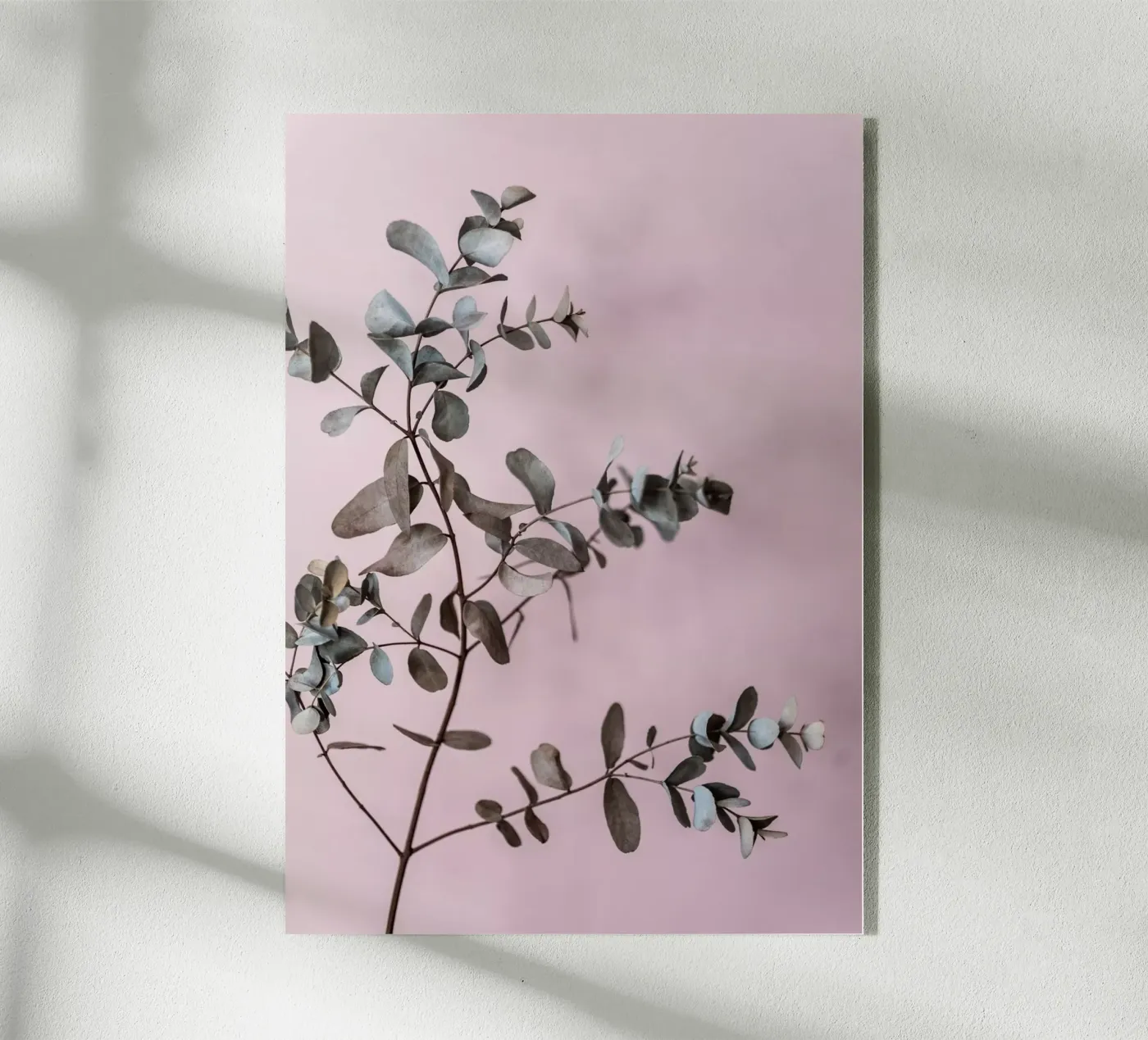 Eucalyptus 12 plexiglass da Mareike Böhmer Photography