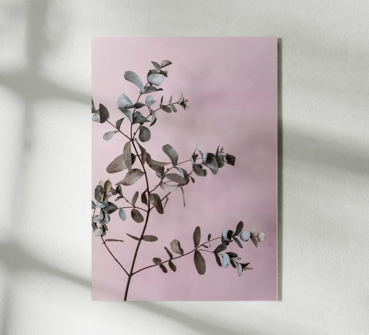 Eucalyptus 12 plexiglass da Mareike Böhmer Photography
