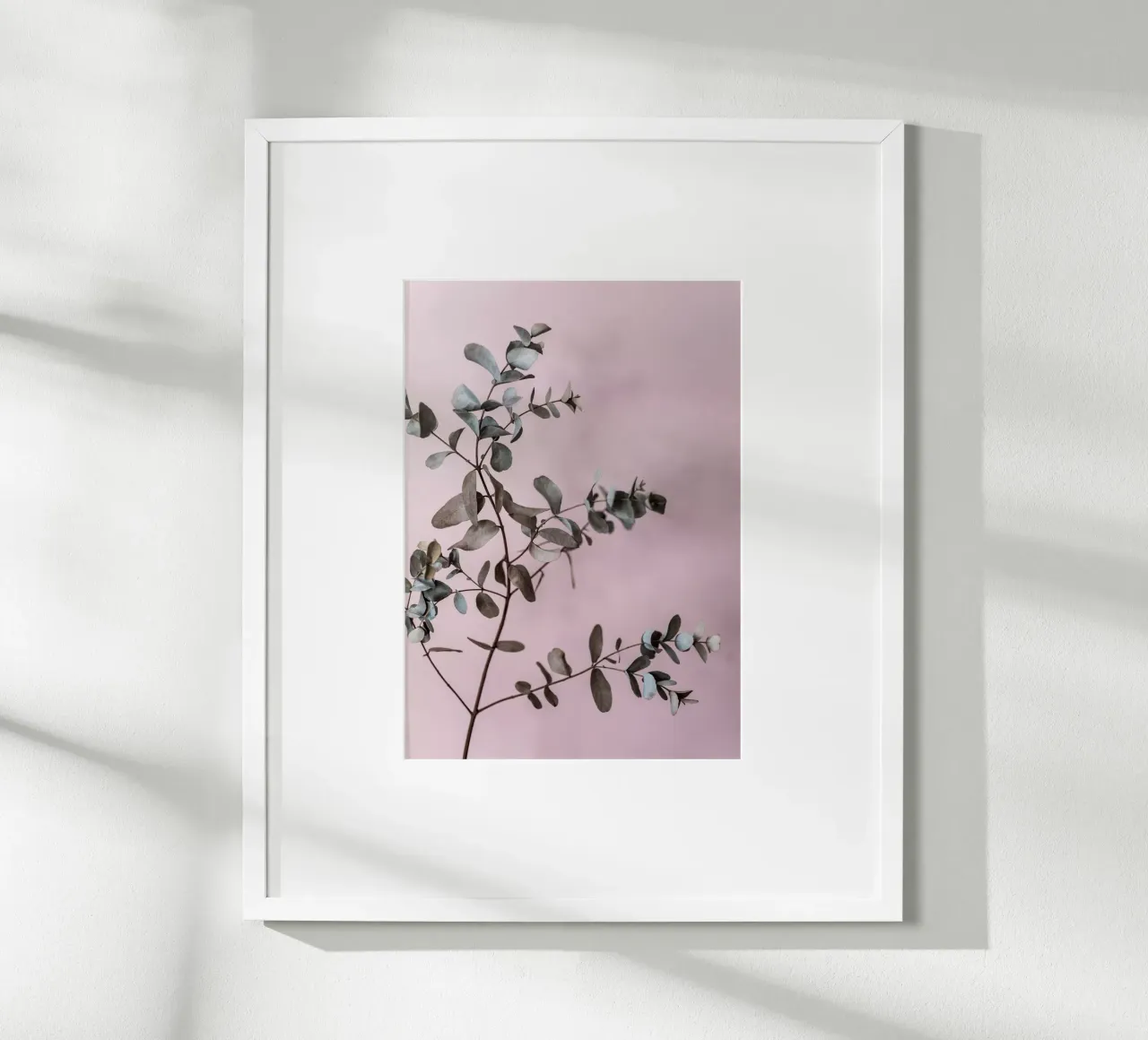 Eucalyptus 12 poster con telaio in alluminio da Mareike Böhmer Photography