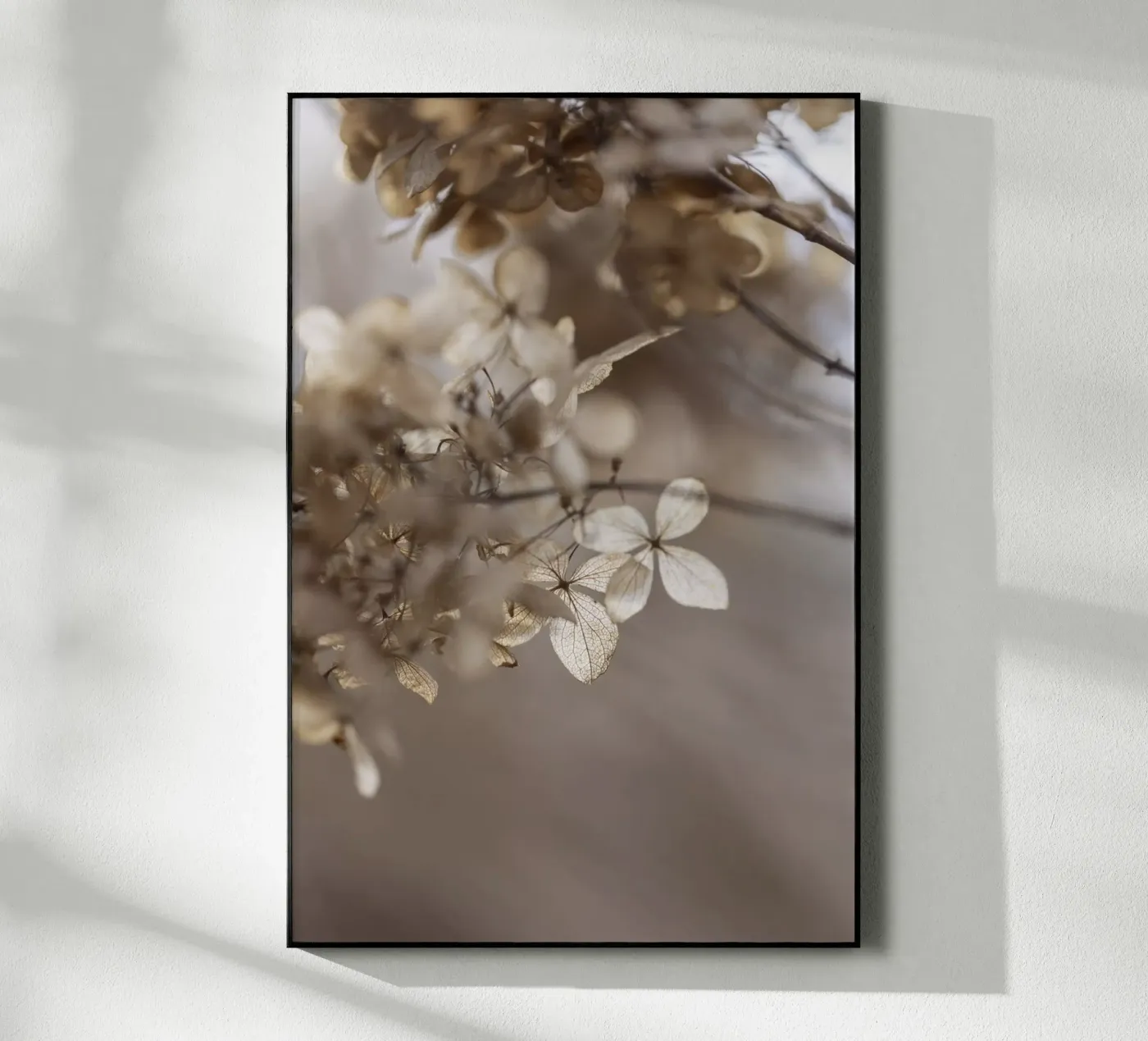 Hydrangea 1 Acryl-Glas von Mareike Böhmer Photography