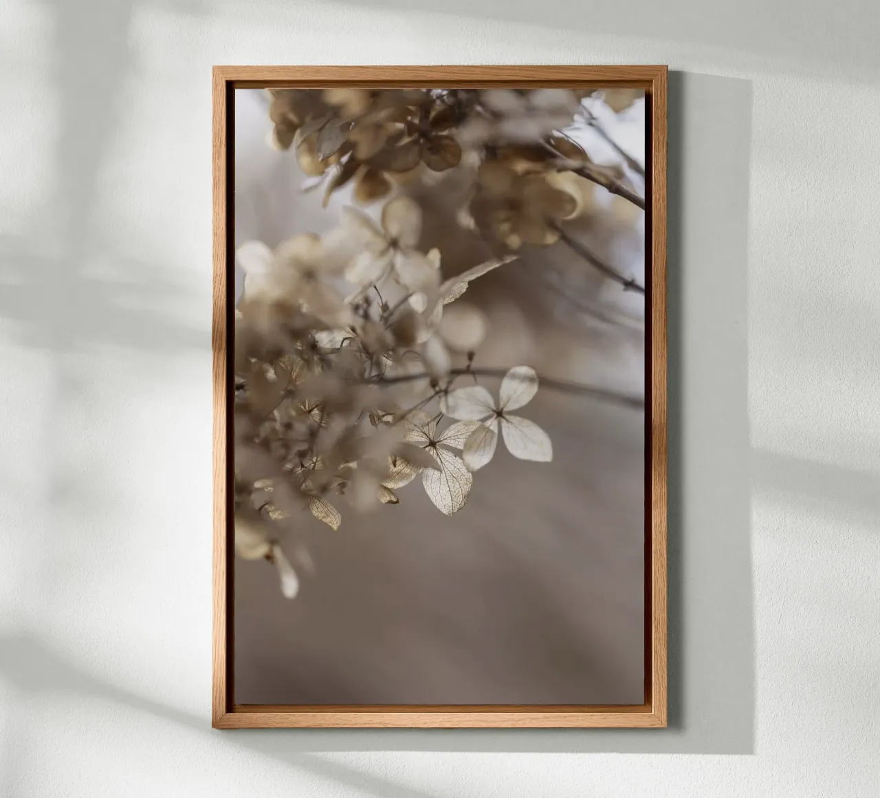 Hydrangea 1 canvas van Mareike Böhmer Photography