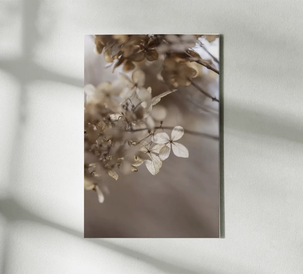 Hydrangea 1 canvas van Mareike Böhmer Photography