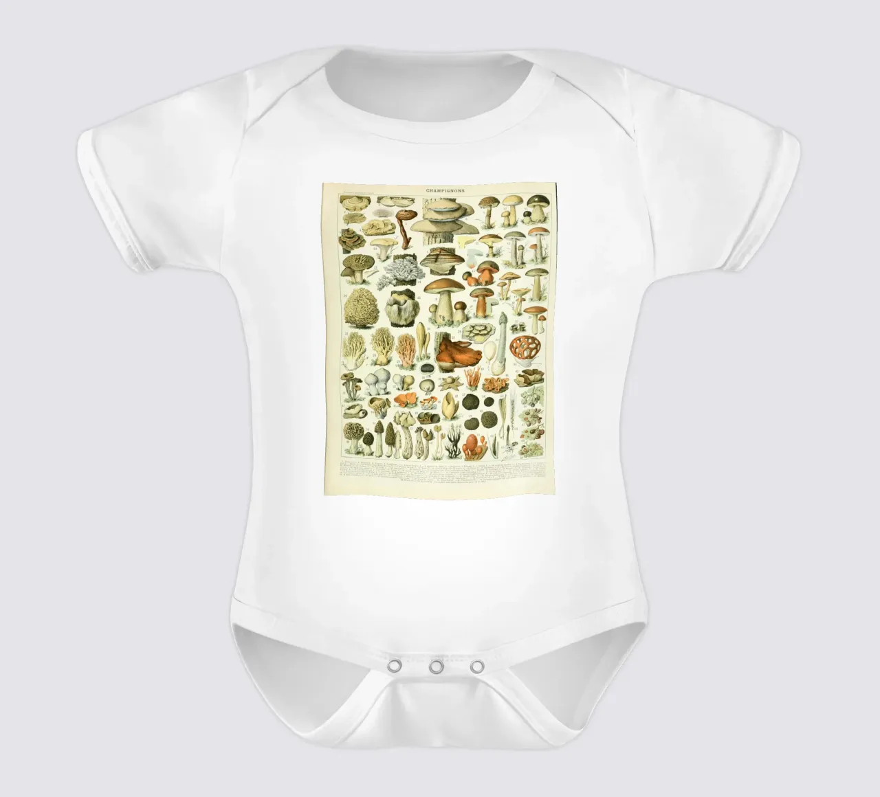 funghi funghi body neonato maniche corte da Fred Marshall