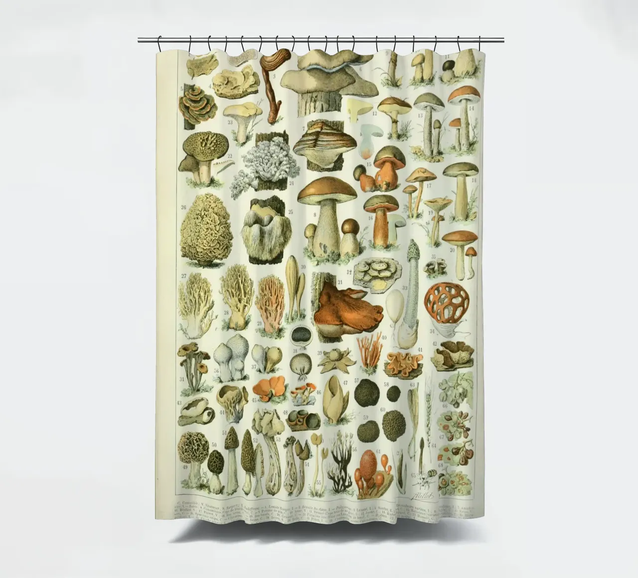 funghi funghi tenda da doccia da Fred Marshall