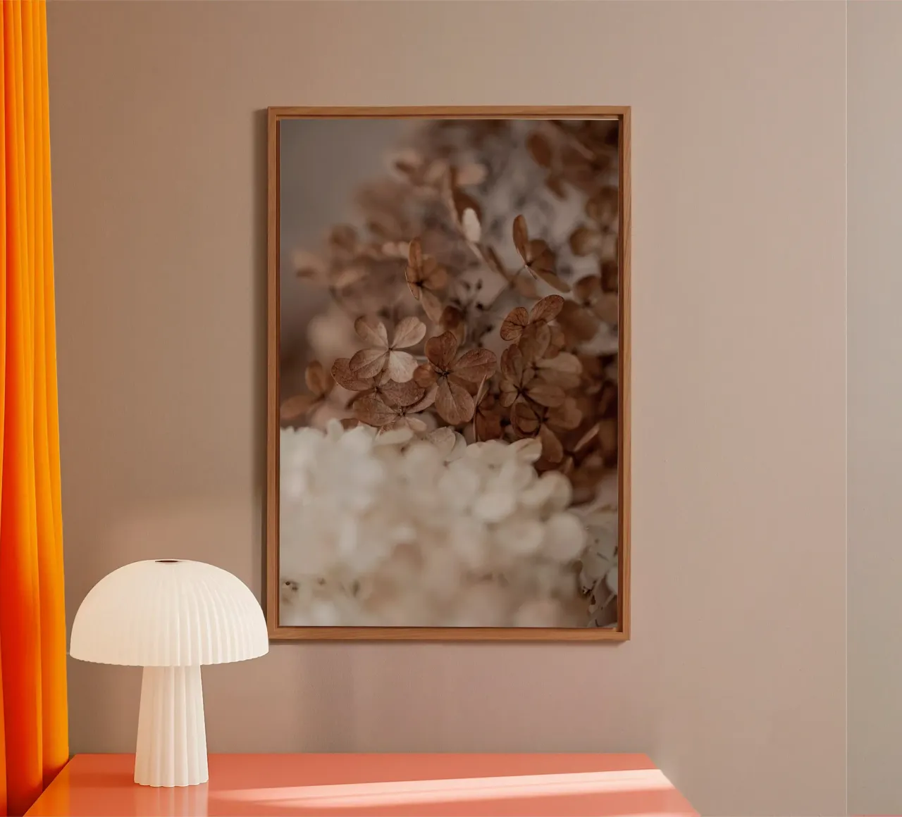 Hydrangea 2 forex plate by Mareike Böhmer Photography