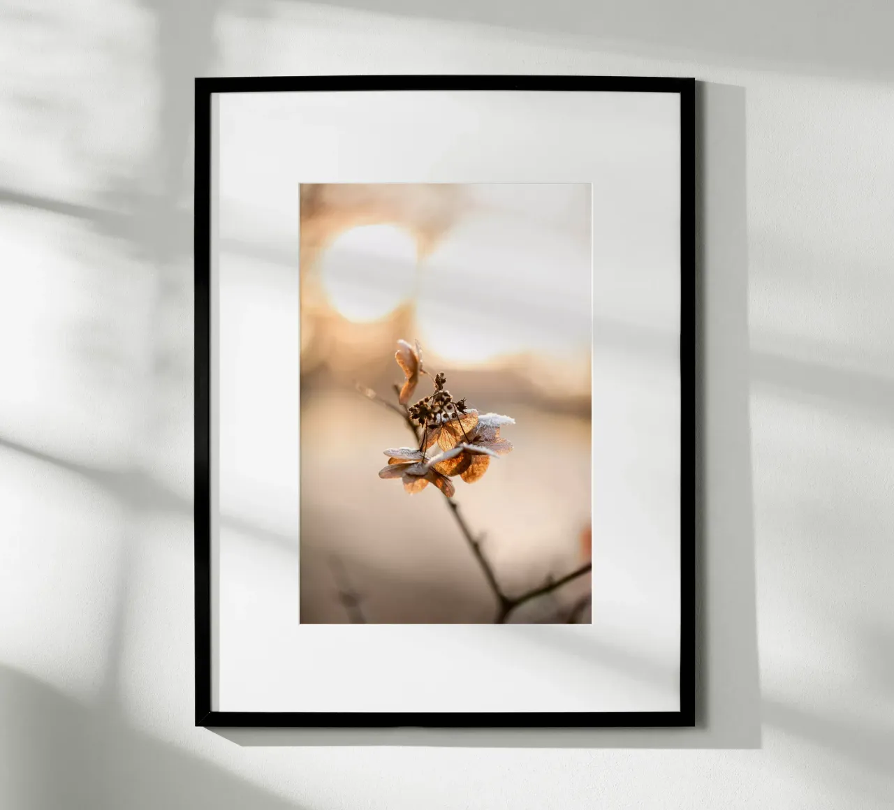 Hydrangea 4 poster da Mareike Böhmer Photography