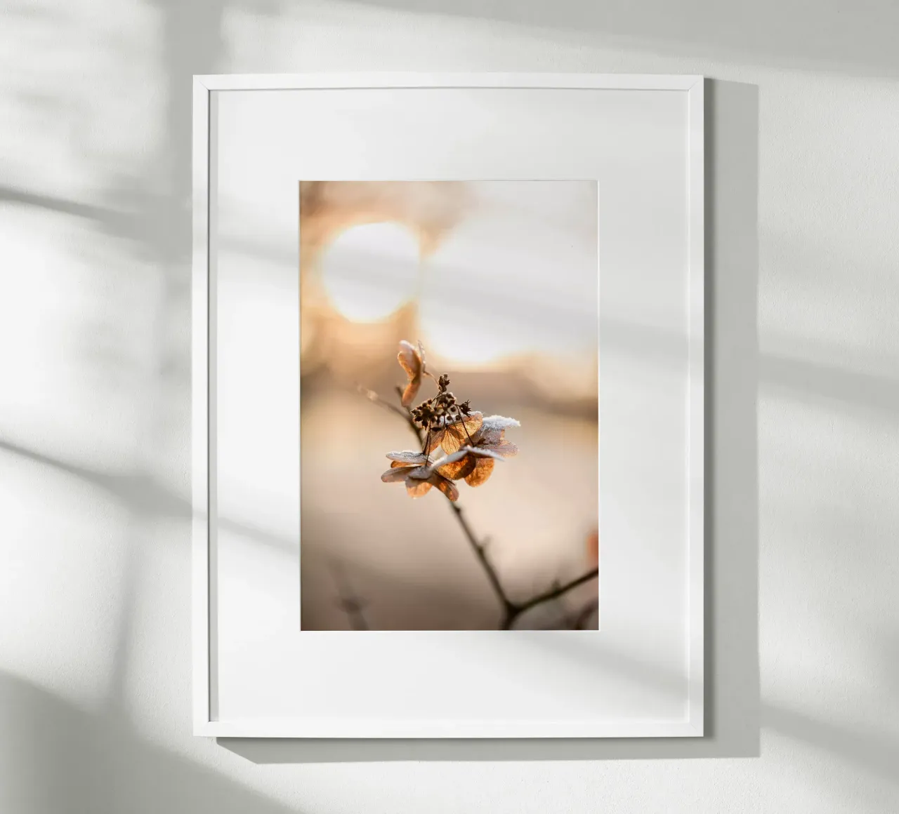 Hydrangea 4 poster da Mareike Böhmer Photography