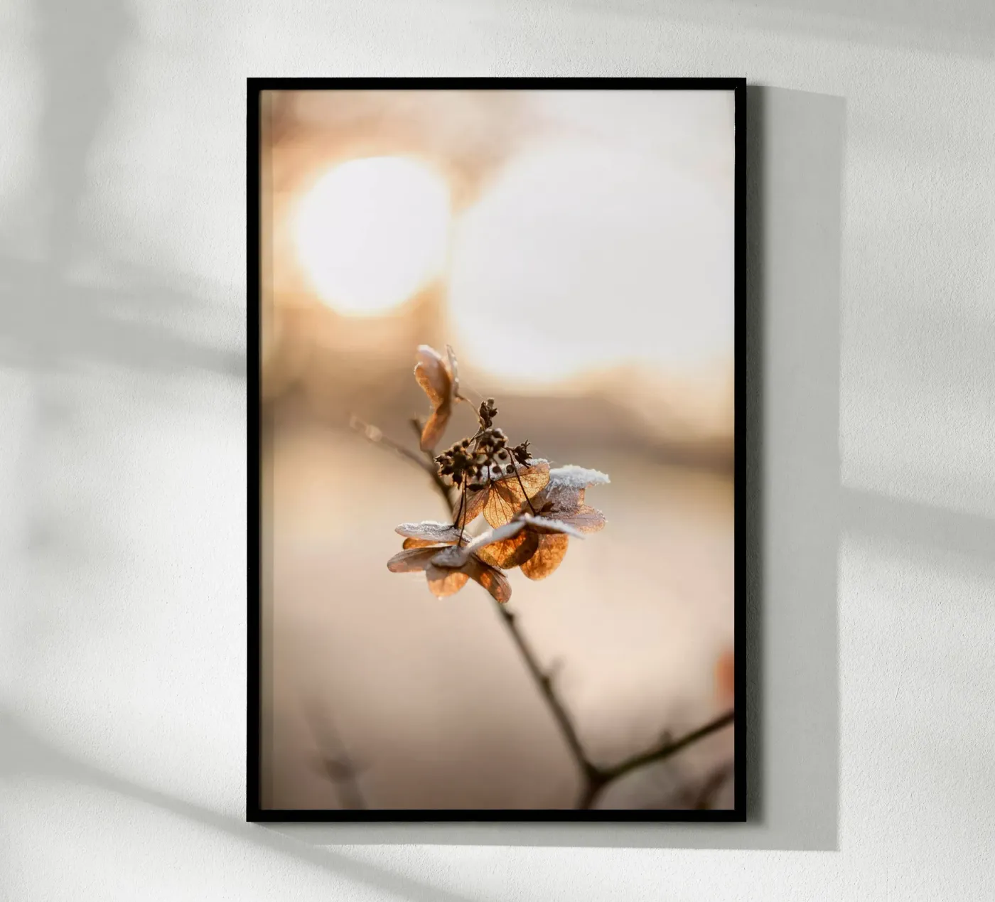 Hydrangea 4 poster van Mareike Böhmer Photography