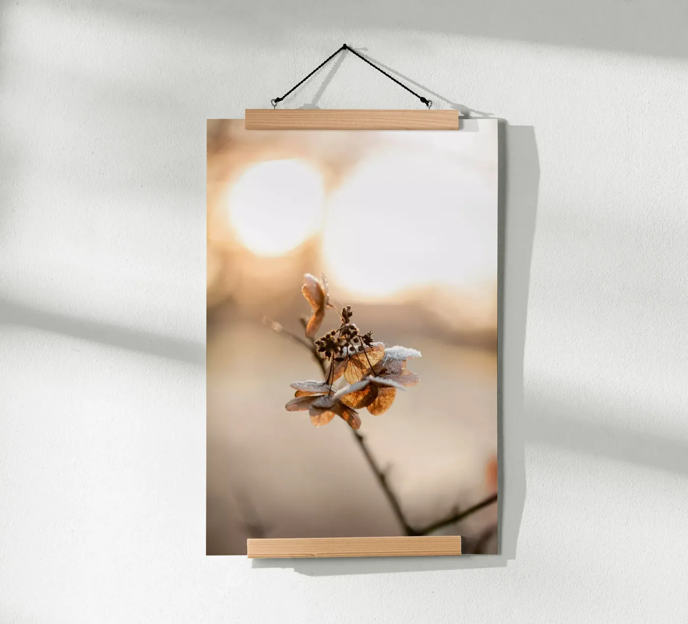 Hydrangea 4 poster van Mareike Böhmer Photography