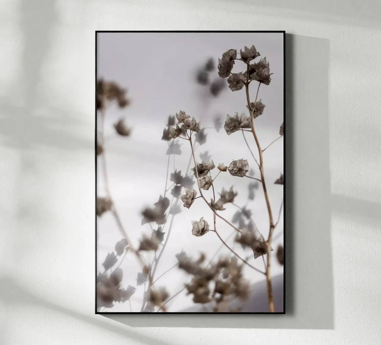 Last Summer 31 plexiglass da Mareike Böhmer Photography