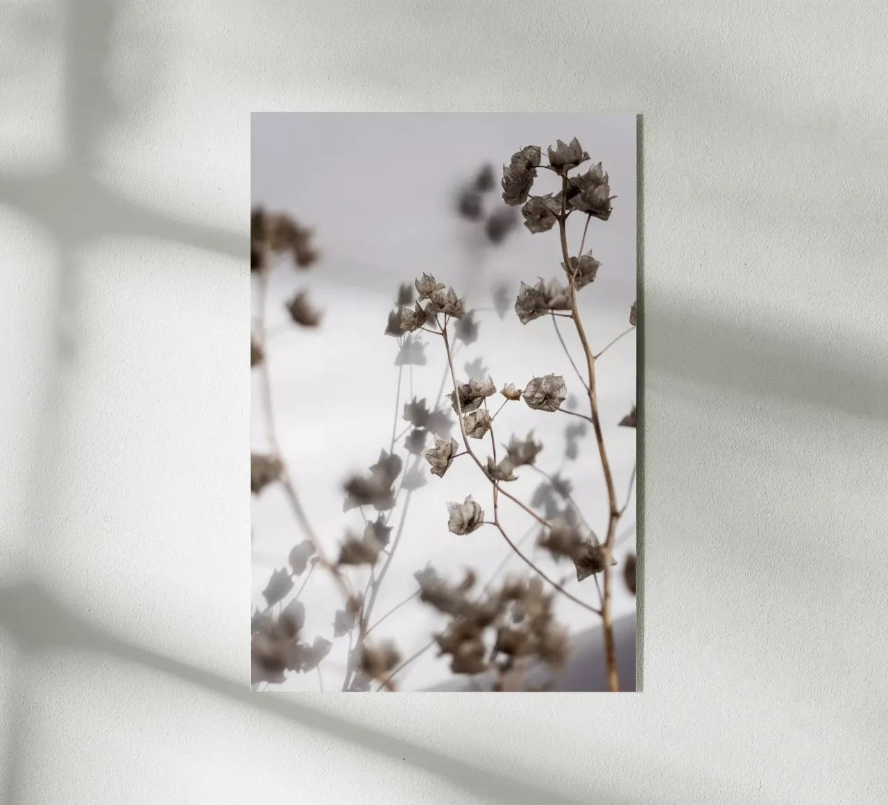 Last Summer 31 plexiglass da Mareike Böhmer Photography