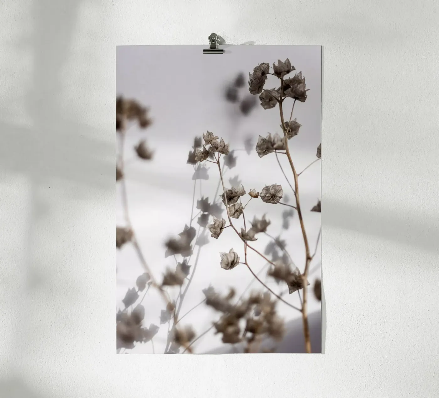 Last Summer 31 poster da Mareike Böhmer Photography