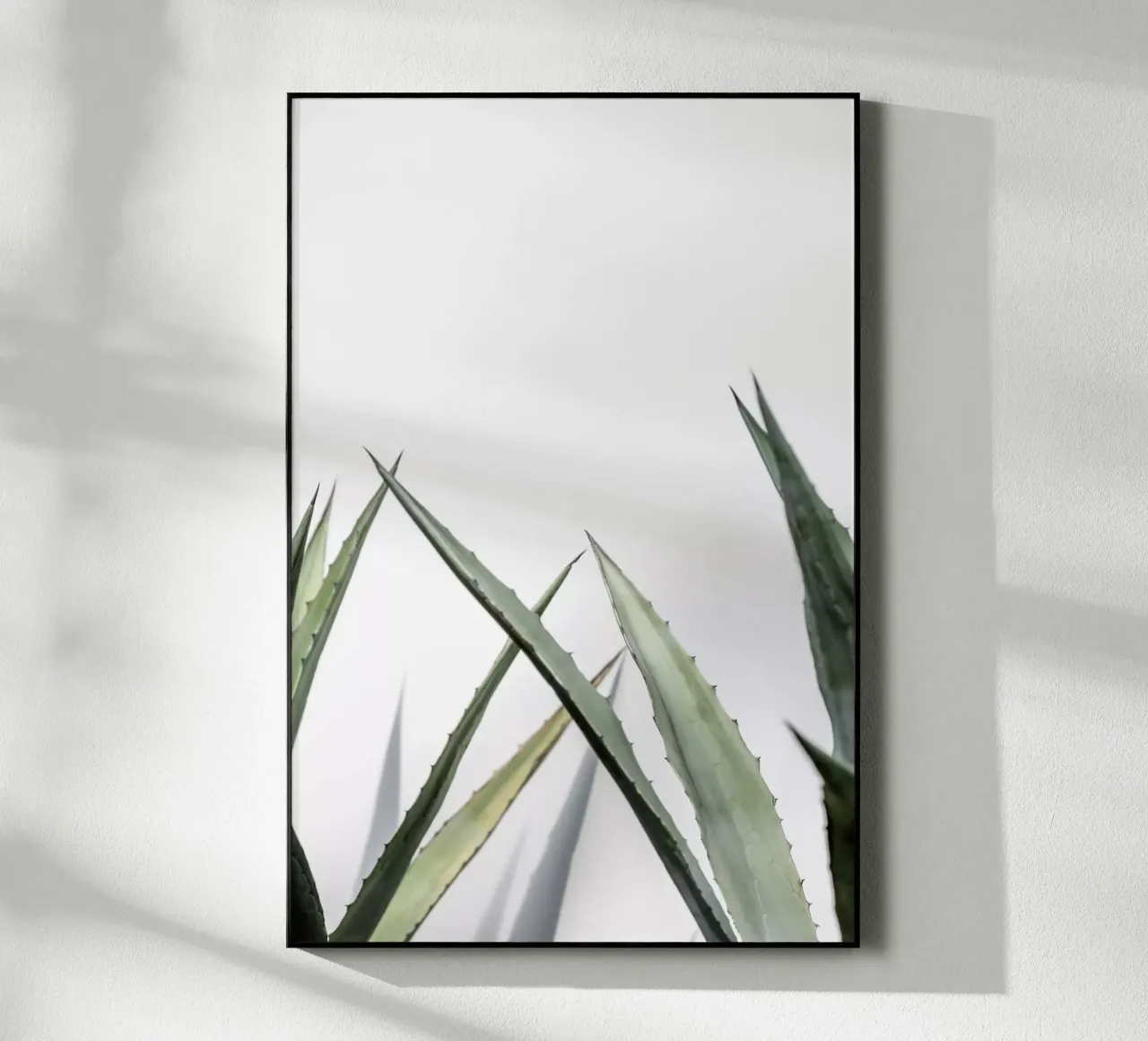 Succulent 1 plexiglass da Mareike Böhmer Photography