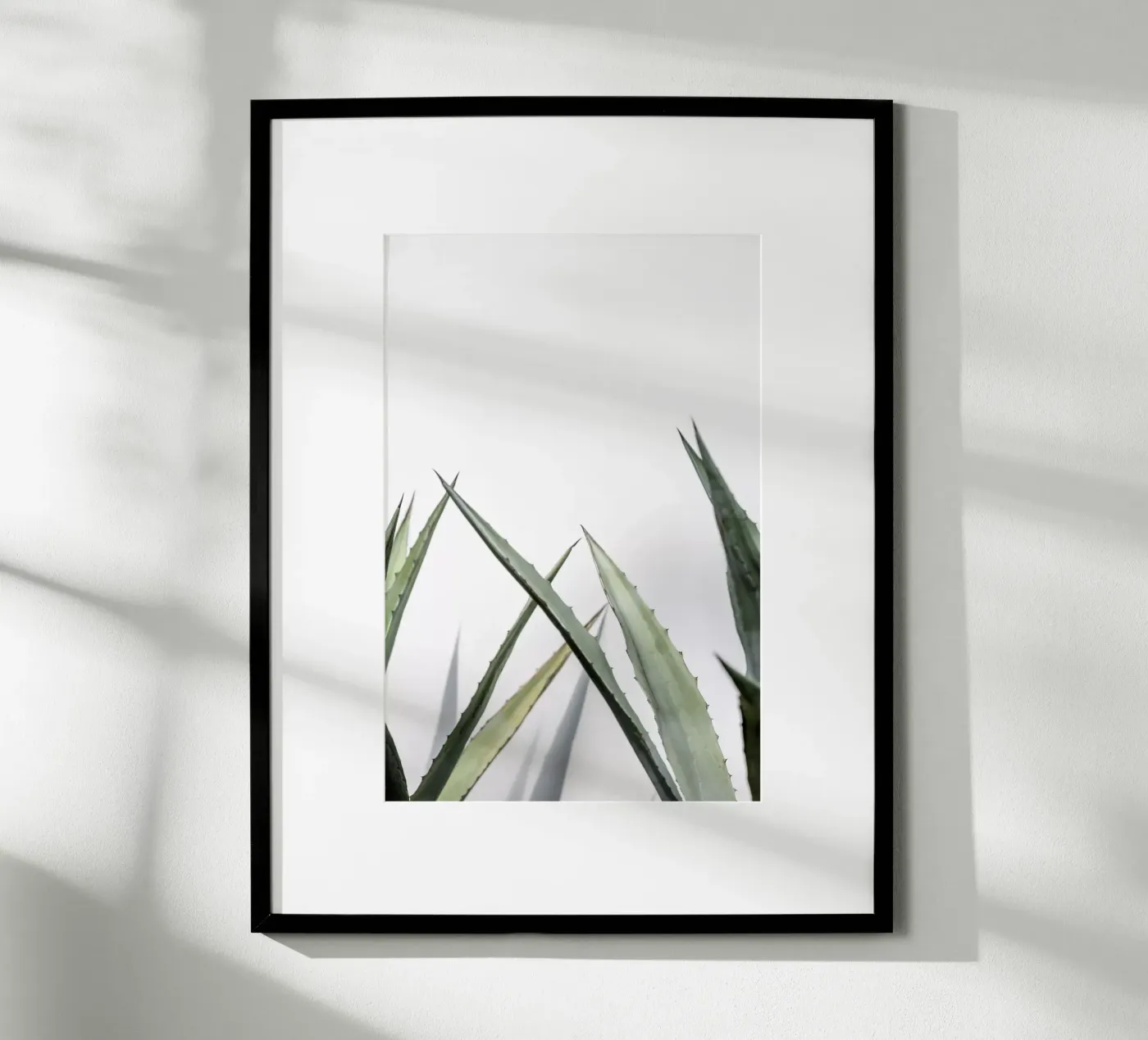 Succulent 1 poster da Mareike Böhmer Photography