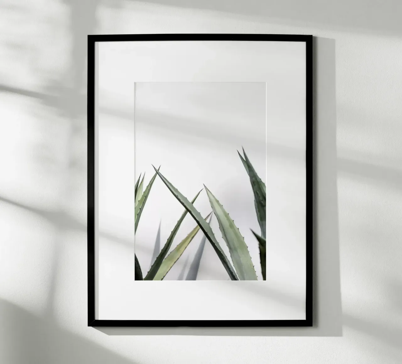 Succulent 1 poster da Mareike Böhmer Photography