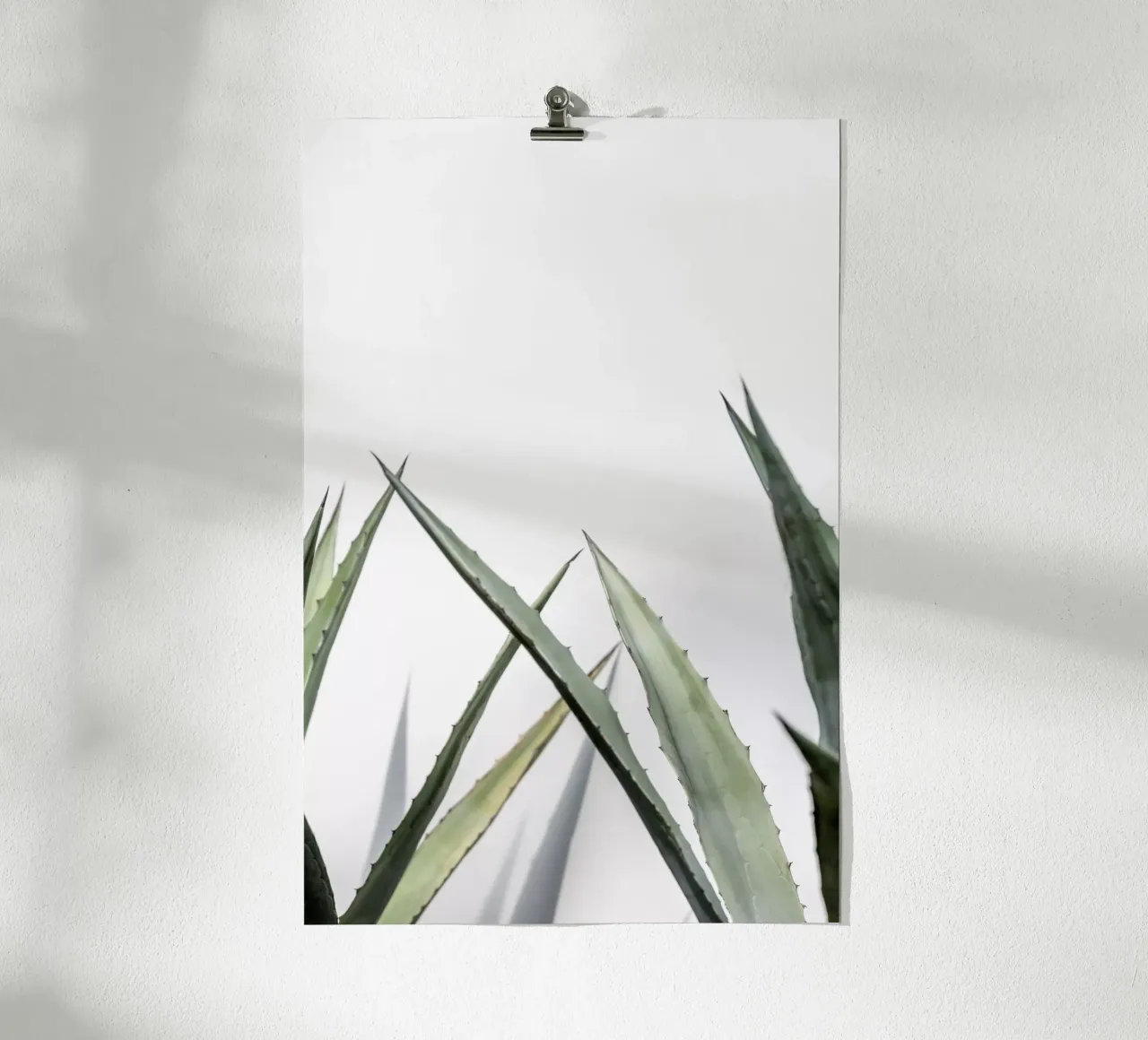 Succulent 1 poster da Mareike Böhmer Photography