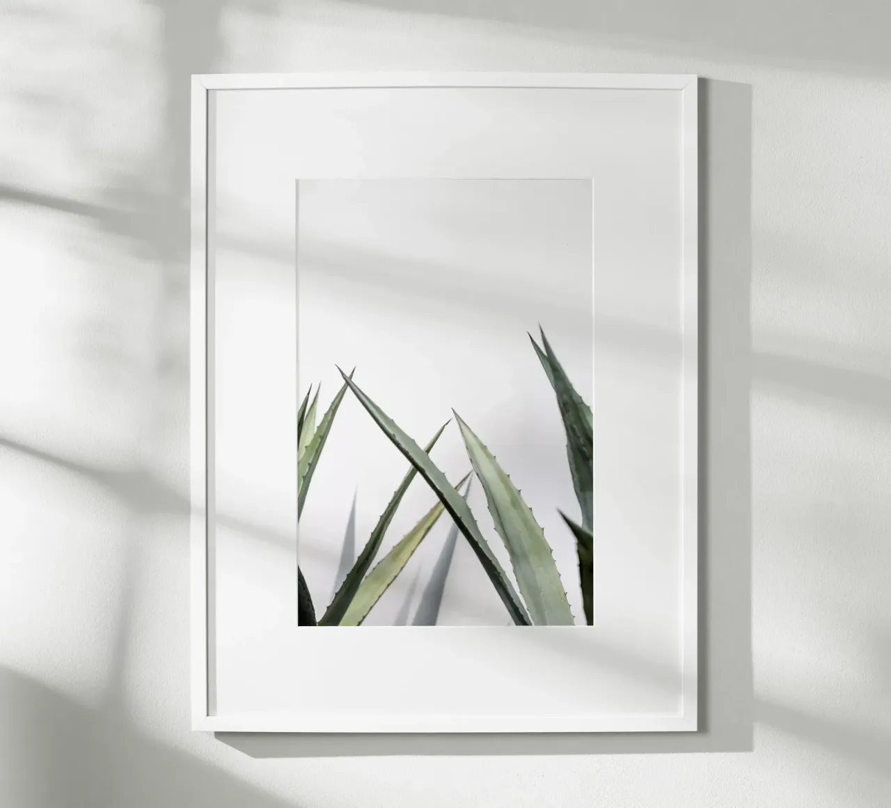 Succulent 1 poster da Mareike Böhmer Photography