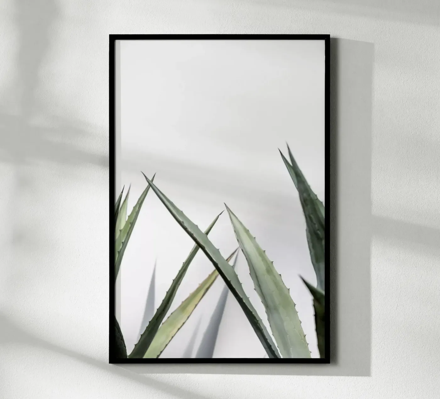 Succulent 1 poster da Mareike Böhmer Photography