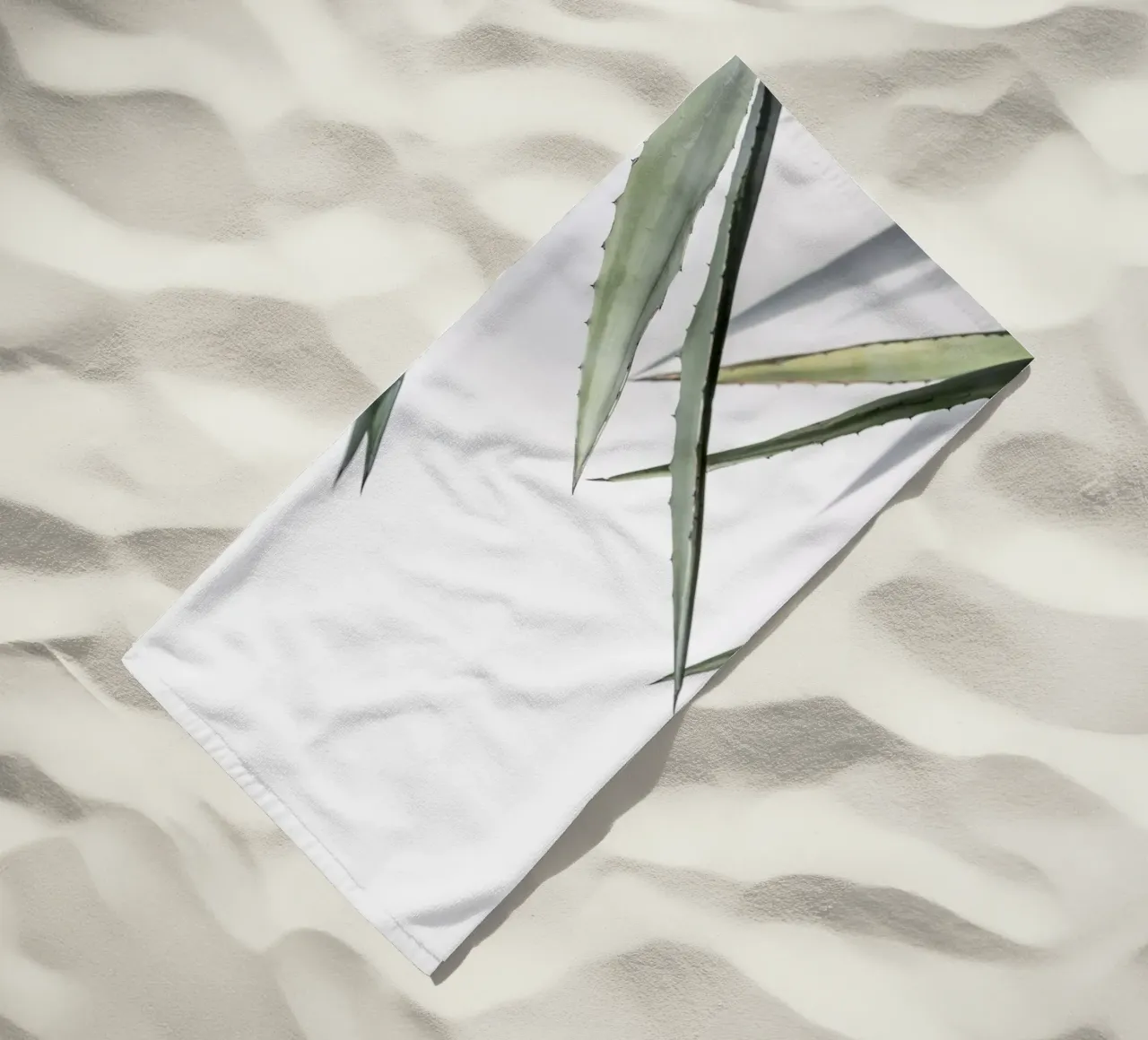 Succulent 1 telo mare da Mareike Böhmer Photography