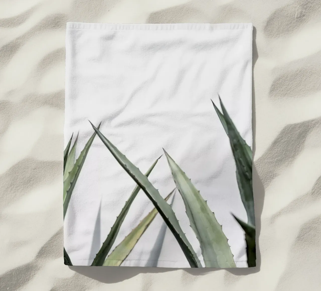 Succulent 1 telo mare da Mareike Böhmer Photography