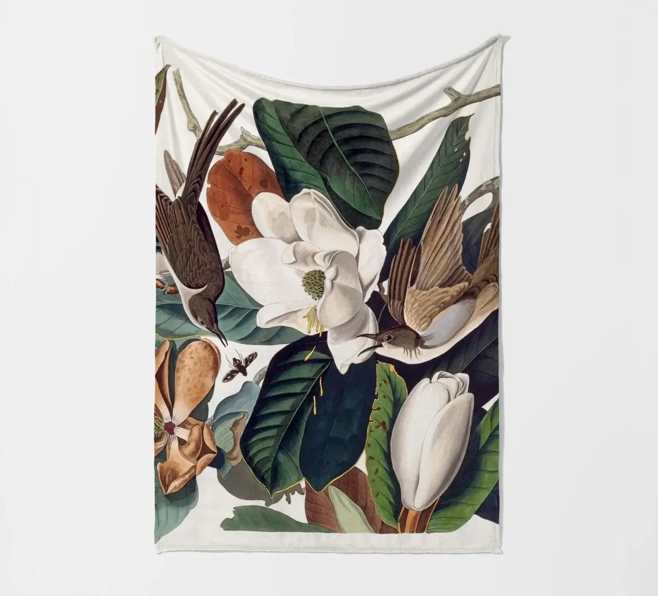 Audubon Black-billed Cuckoo coperta in pile da apoloprints