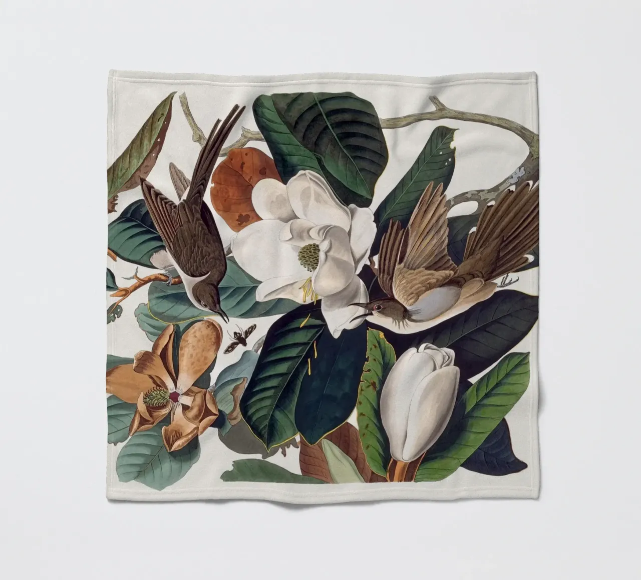 Audubon Black-billed Cuckoo coperta in pile da apoloprints