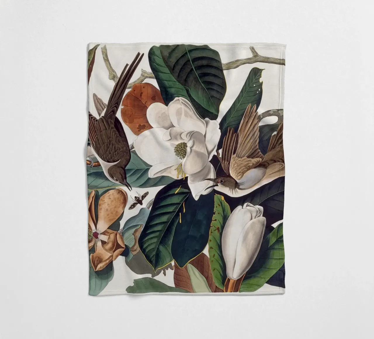 Audubon Black-billed Cuckoo coperta in pile da apoloprints