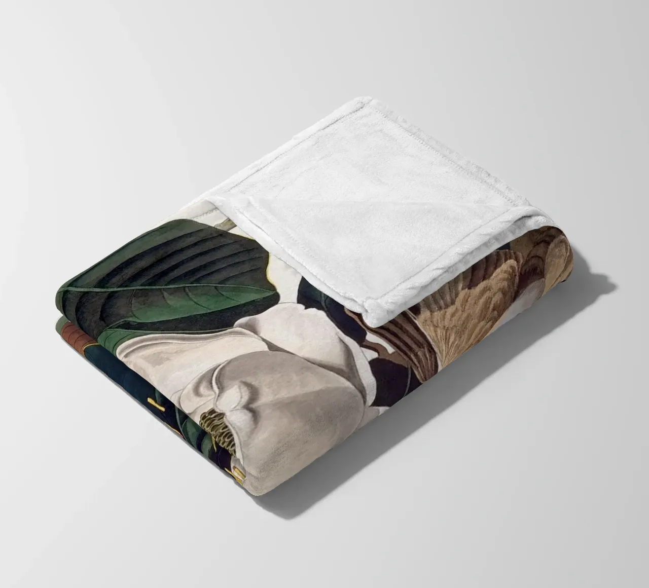 Audubon Black-billed Cuckoo coperta in pile da apoloprints
