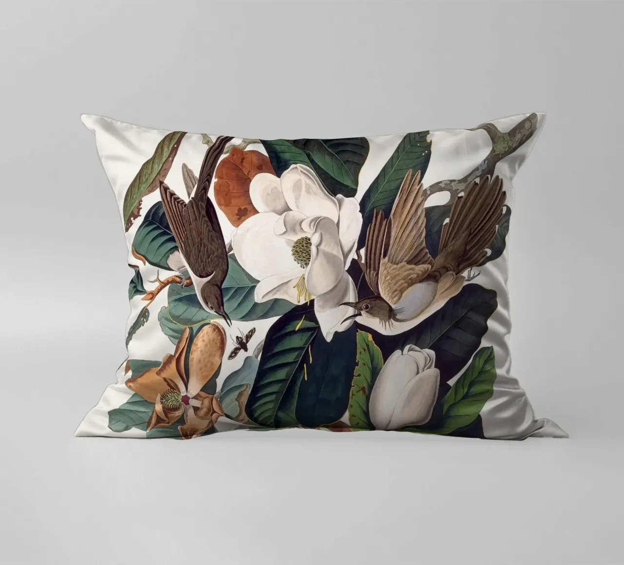 Audubon Black-billed Cuckoo cuscino da apoloprints