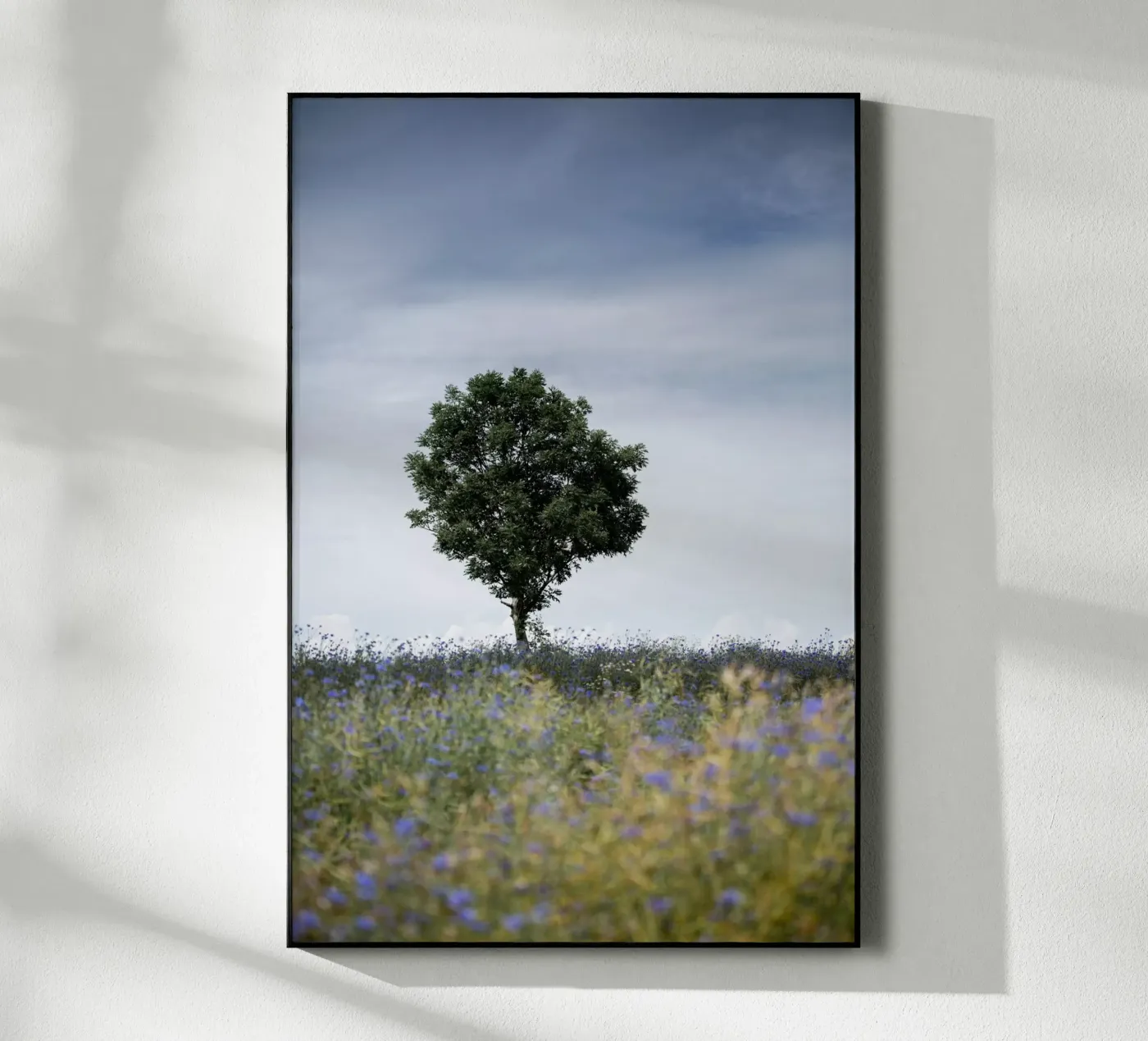 Summer Meadow acrylic glass by Mareike Böhmer Photography