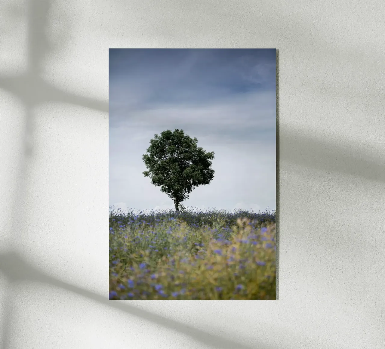 Summer Meadow plexiglass da Mareike Böhmer Photography