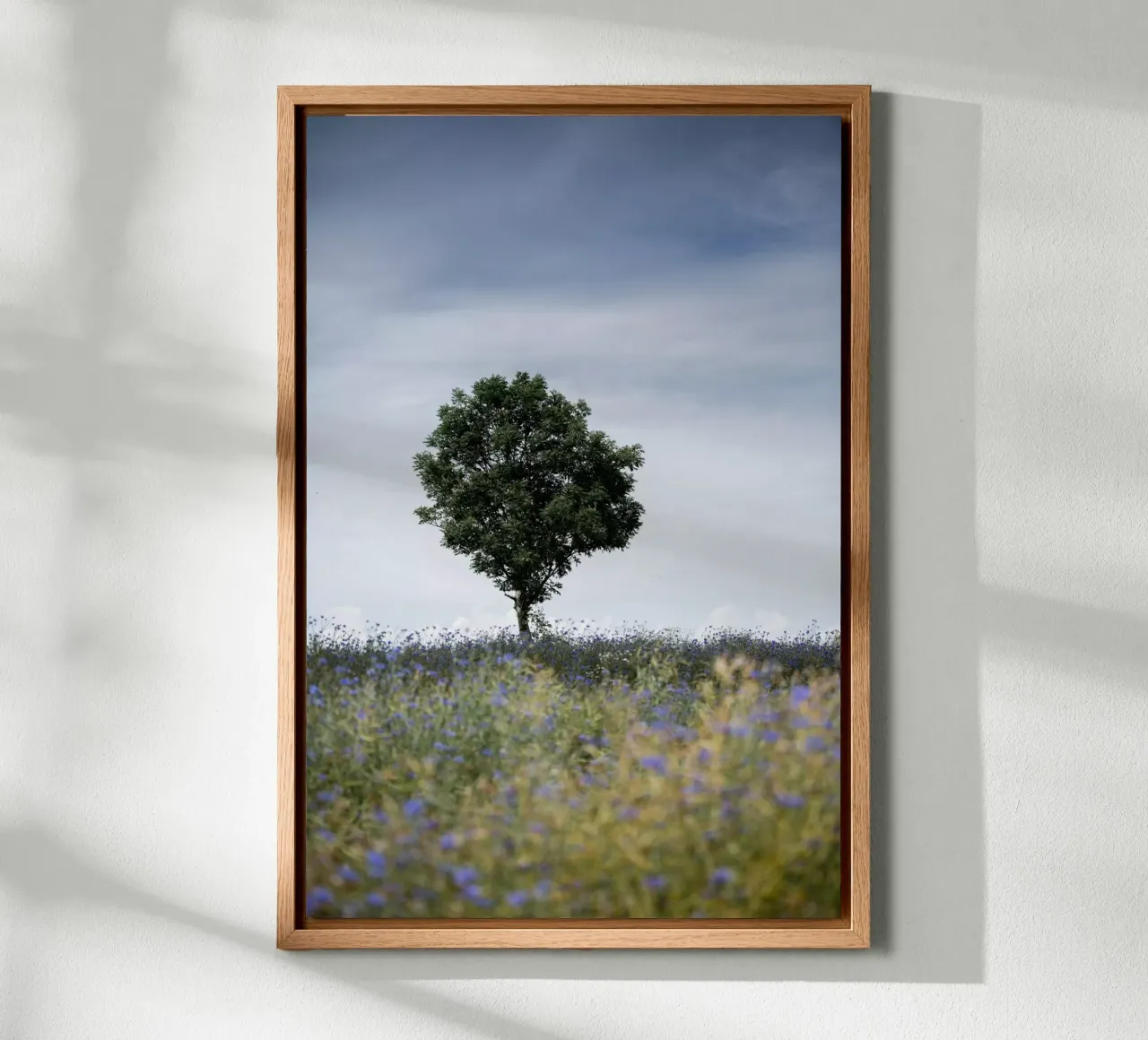 Summer Meadow alluminio dibond da Mareike Böhmer Photography