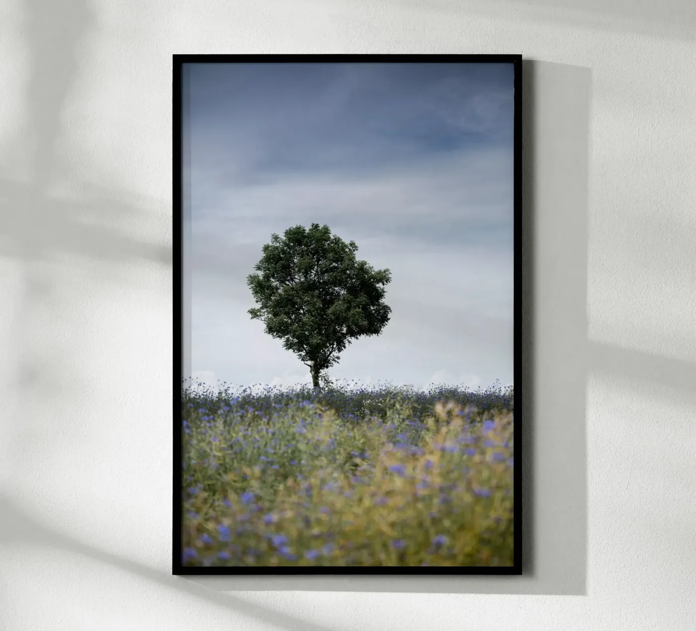 Summer Meadow poster van Mareike Böhmer Photography