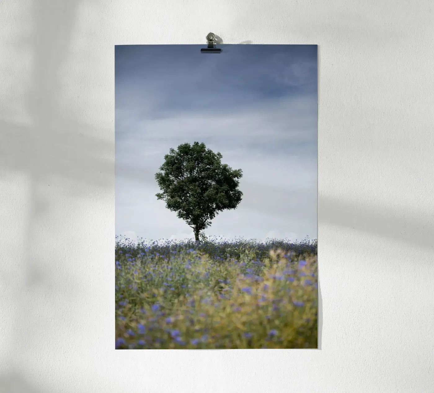Summer Meadow poster van Mareike Böhmer Photography
