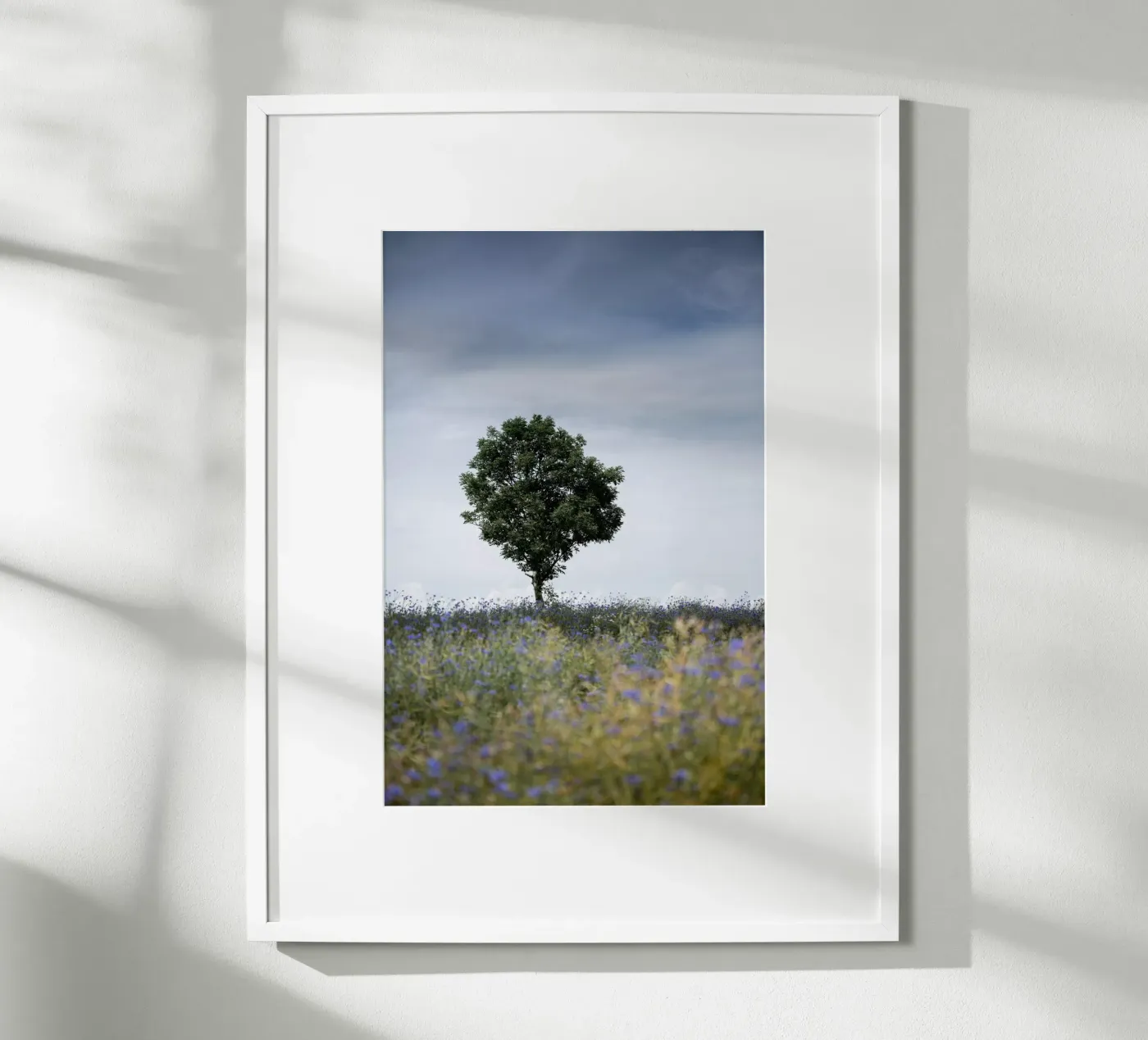 Summer Meadow poster van Mareike Böhmer Photography