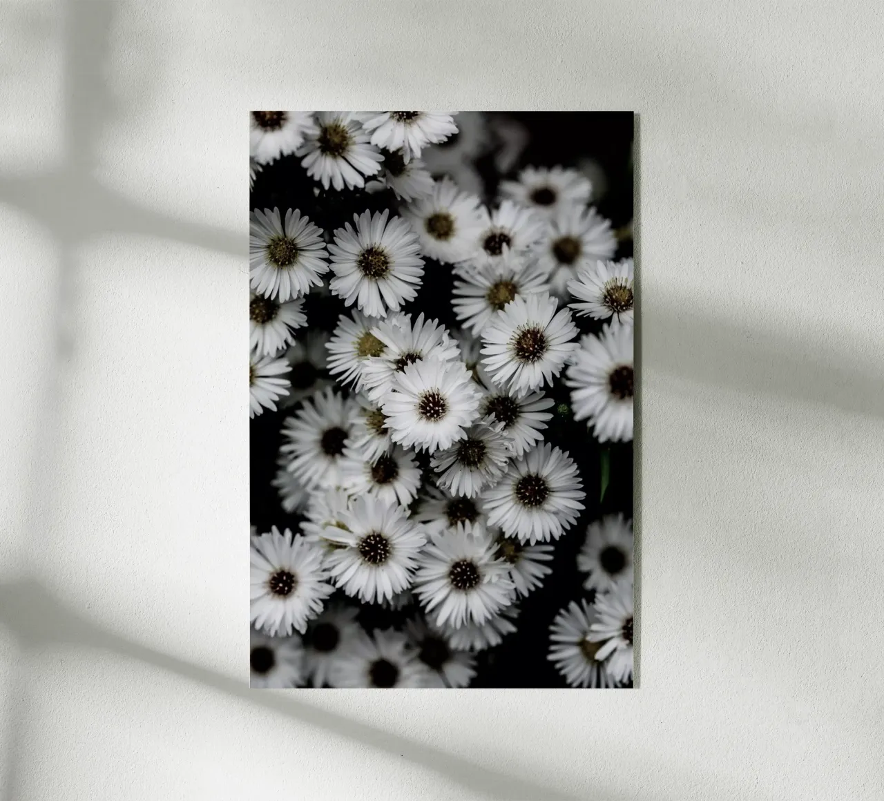 Tiny Flowers 3 plexiglass da Mareike Böhmer Photography