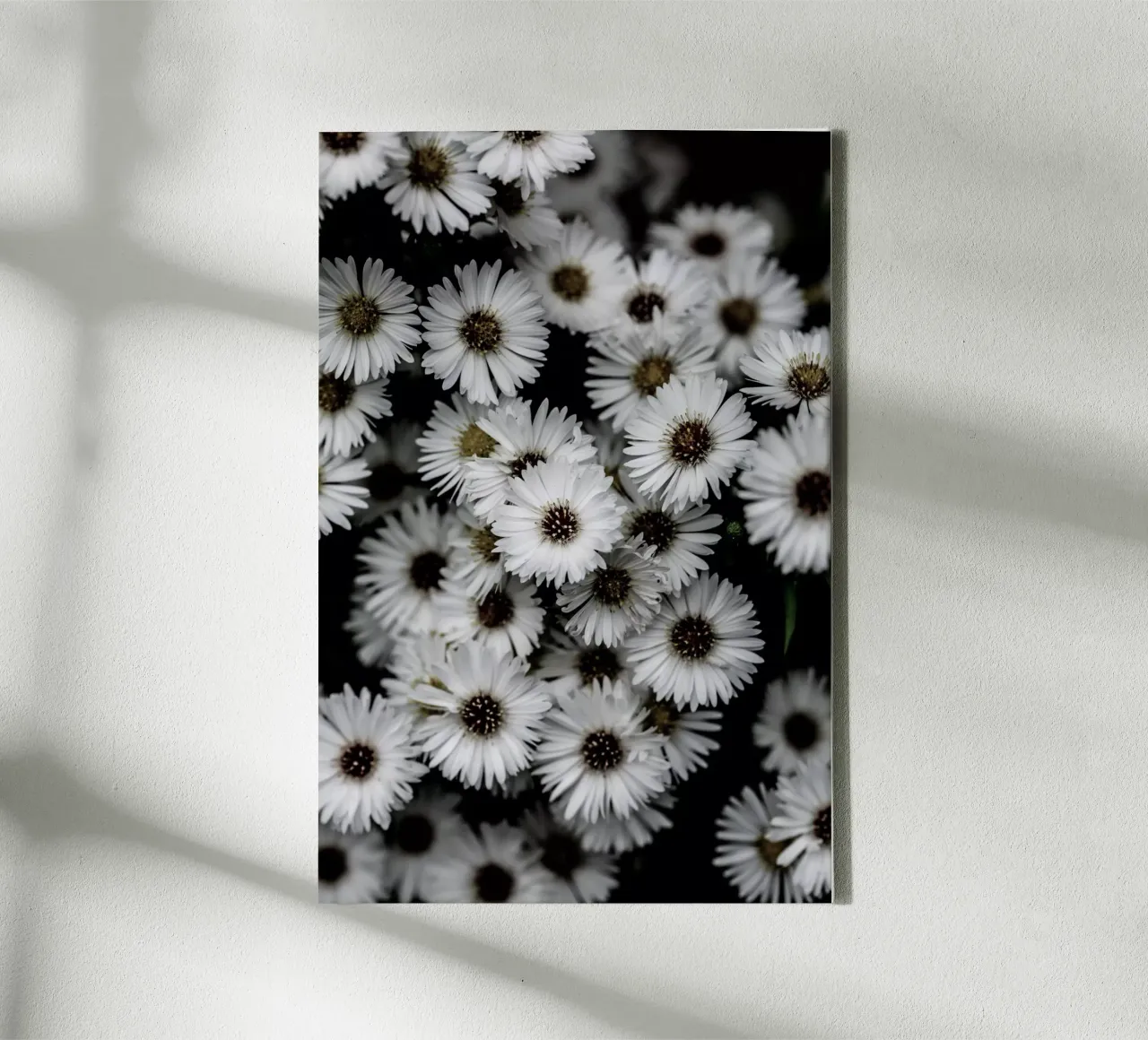 Tiny Flowers 3 canvas met Baklijst van Mareike Böhmer Photography