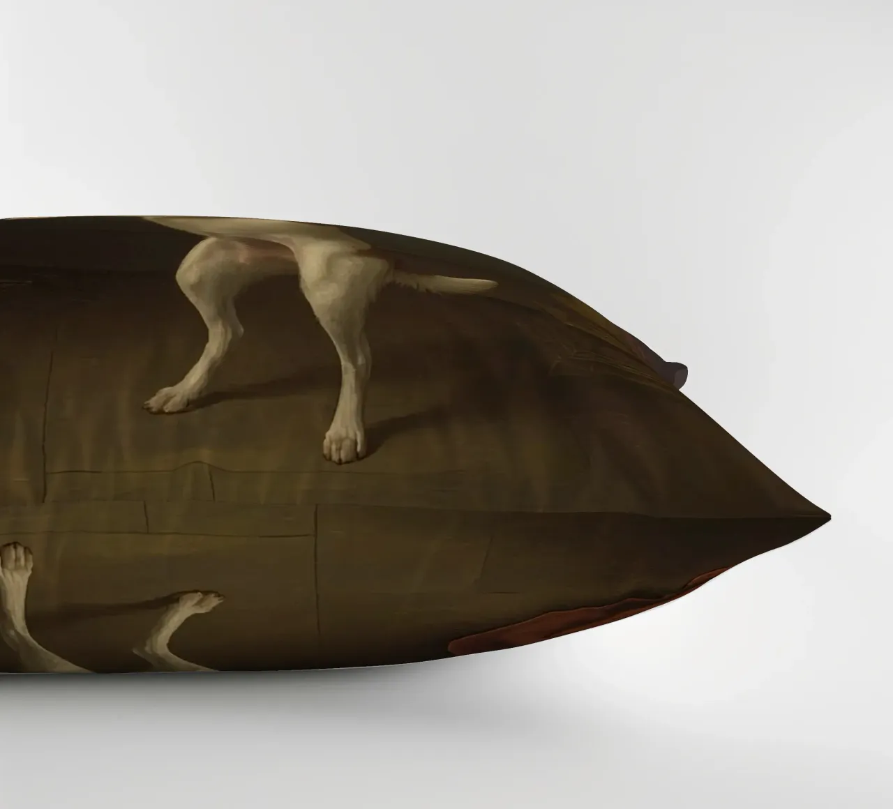 Cane in piedi sulle zampe posteriori in un classico studio di posa cuscino da DesignDoodle