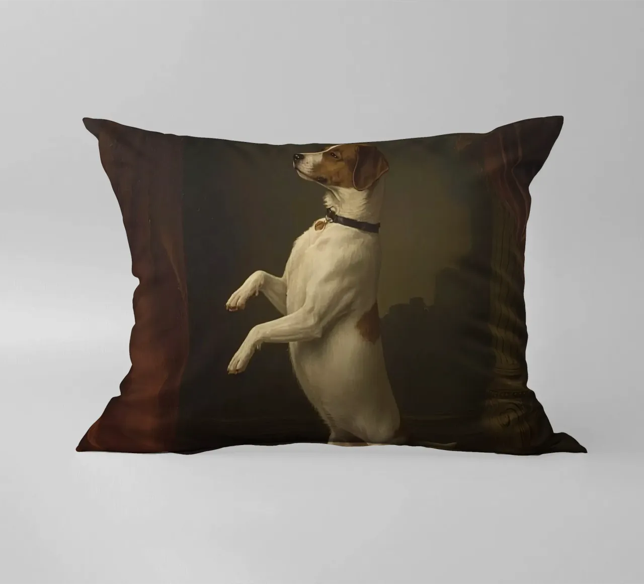 Cane in piedi sulle zampe posteriori in un classico studio di posa cuscino da DesignDoodle