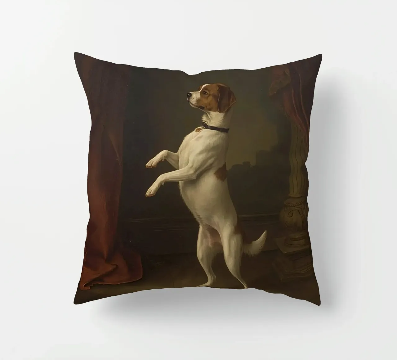 Cane in piedi sulle zampe posteriori in un classico studio di posa cuscino da DesignDoodle