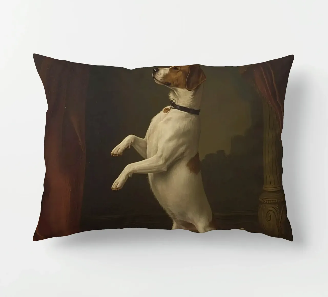 Cane in piedi sulle zampe posteriori in un classico studio di posa cuscino da DesignDoodle