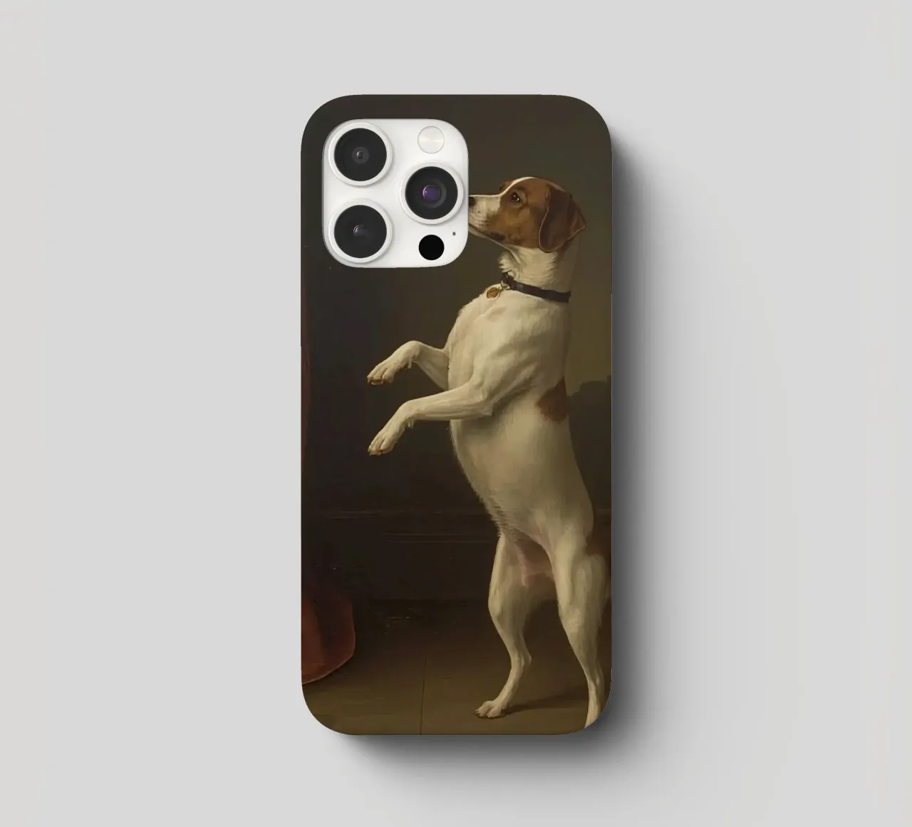Cane in piedi sulle zampe posteriori in un classico studio di posa cover iphone da DesignDoodle