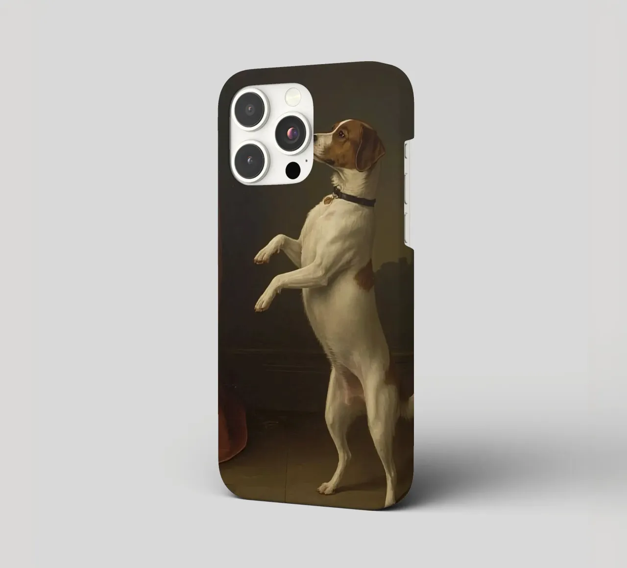 Cane in piedi sulle zampe posteriori in un classico studio di posa cover iphone da DesignDoodle