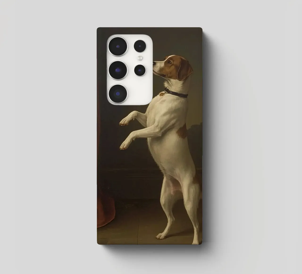 Cane in piedi sulle zampe posteriori in un classico studio di posa cover samsung da DesignDoodle